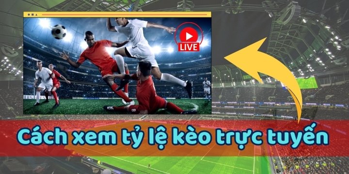 Cách xem tỷ lệ kèo trực tuyến - Các loại kèo