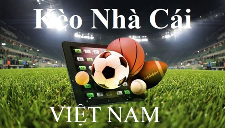 Soi kèo nhà cái Việt Nam cần quan tâm những gì? 