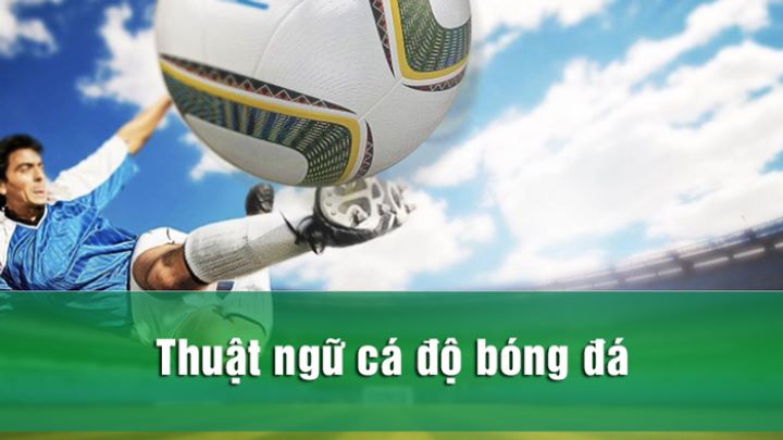 Các thuật ngữ soi kèo bóng đá trong kèo Châu Âu